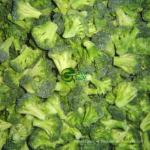 IQF Frozen Broccoli Florets in High Quality